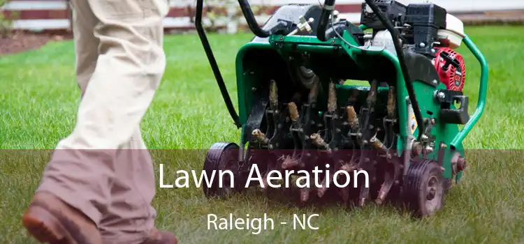 Lawn Aeration Raleigh - NC