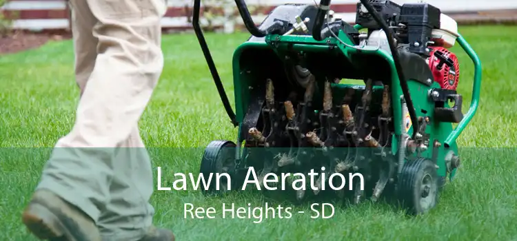 Lawn Aeration Ree Heights - SD