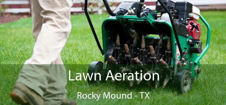Lawn Aeration Rocky Mound - TX