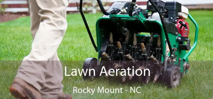  Lawn Aeration Rocky Mount - NC