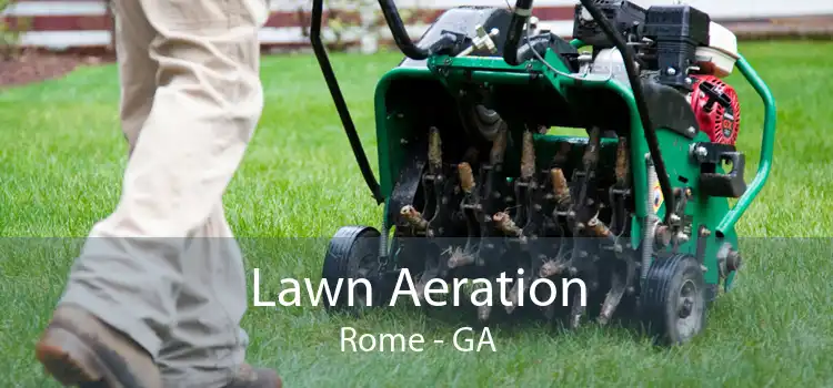 Lawn Aeration Rome - GA