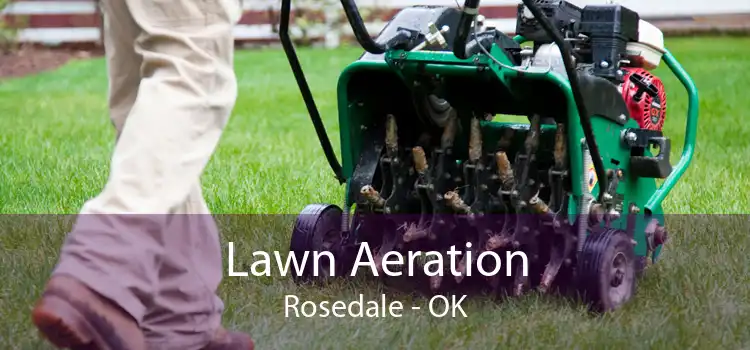 Lawn Aeration Rosedale - OK