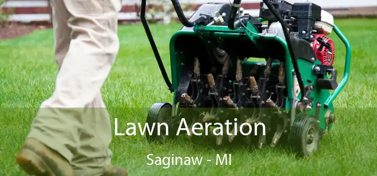 Lawn Aeration Saginaw - MI