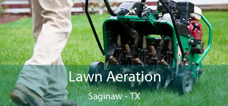 Lawn Aeration Saginaw - TX