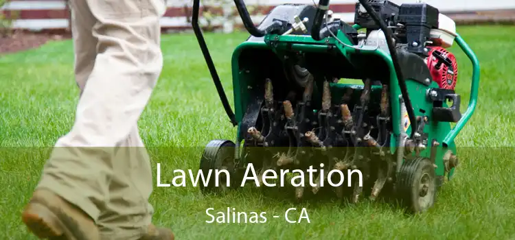  Lawn Aeration Salinas - CA