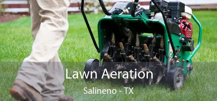 Lawn Aeration Salineno - TX