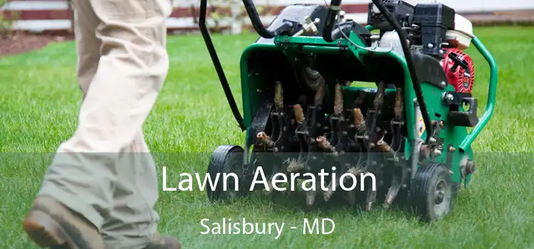  Lawn Aeration Salisbury - MD