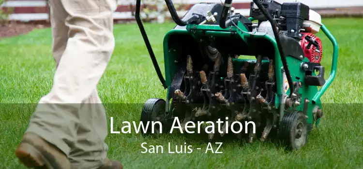 Lawn Aeration San Luis - AZ