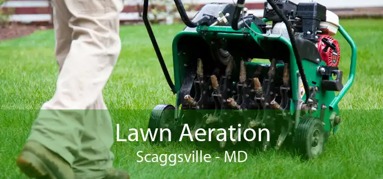Lawn Aeration Scaggsville - MD