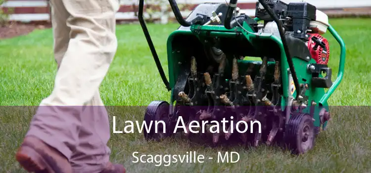 Lawn Aeration Scaggsville - MD