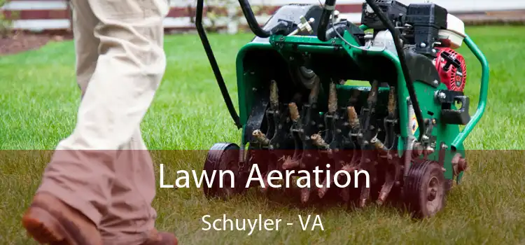 Lawn Aeration Schuyler - VA