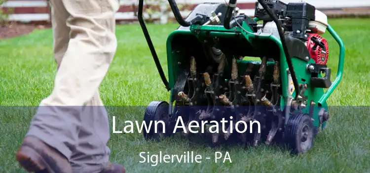 Lawn Aeration Siglerville - PA