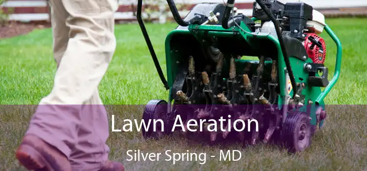 Lawn Aeration Silver Spring - MD