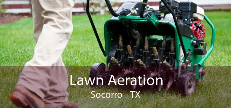 Lawn Aeration Socorro - TX