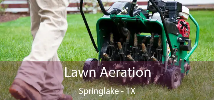 Lawn Aeration Springlake - TX