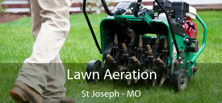 Lawn Aeration St Joseph - MO