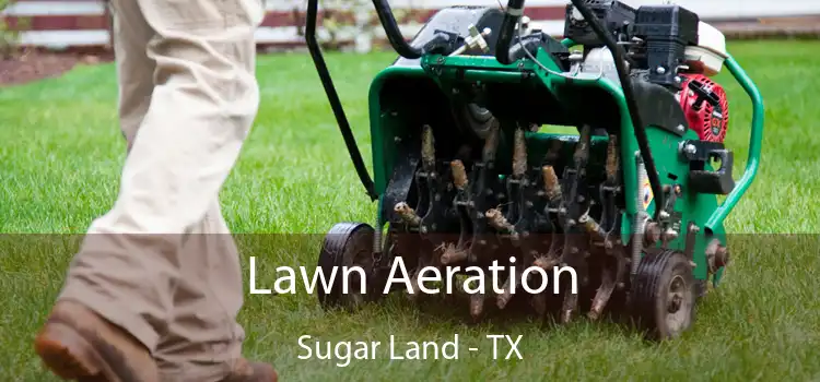 Lawn Aeration Sugar Land - TX