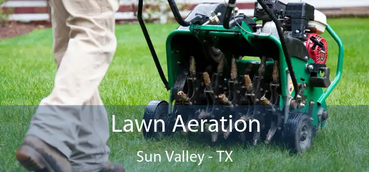 Lawn Aeration Sun Valley - TX