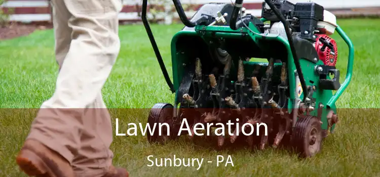 Lawn Aeration Sunbury - PA