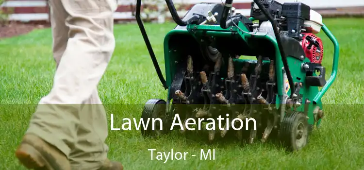 Lawn Aeration Taylor - MI