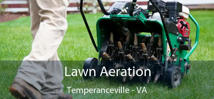 Lawn Aeration Temperanceville - VA