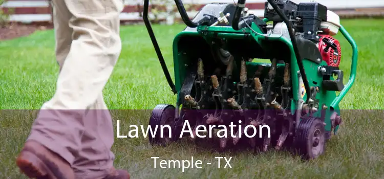 Lawn Aeration Temple - TX