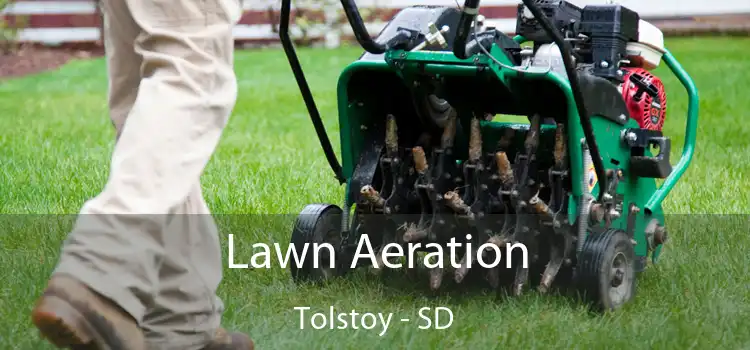 Lawn Aeration Tolstoy - SD