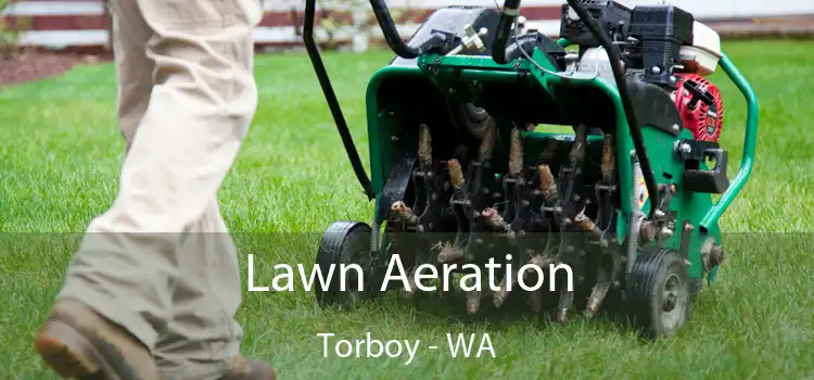 Lawn Aeration Torboy - WA