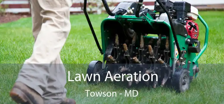  Lawn Aeration Towson - MD