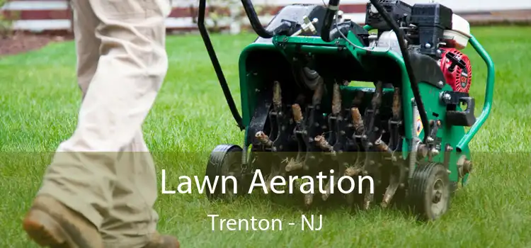 Lawn Aeration Trenton - NJ