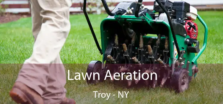 Lawn Aeration Troy - NY
