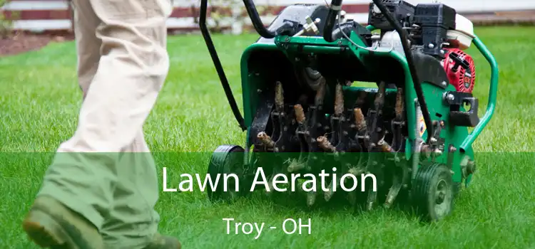 Lawn Aeration Troy - OH