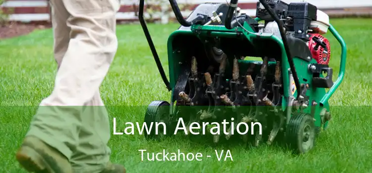 Lawn Aeration Tuckahoe - VA
