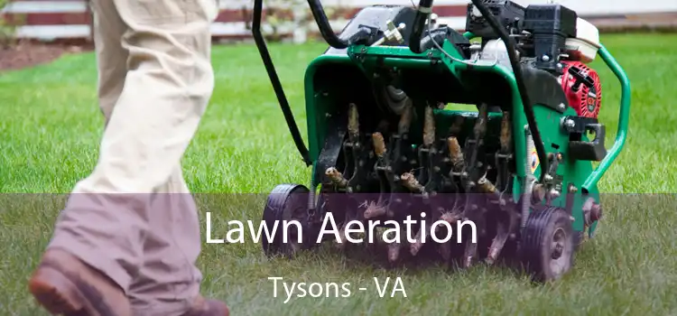 Lawn Aeration Tysons - VA