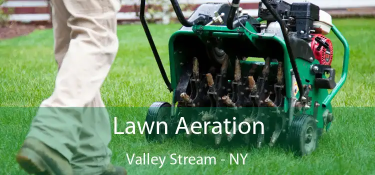  Lawn Aeration Valley Stream - NY