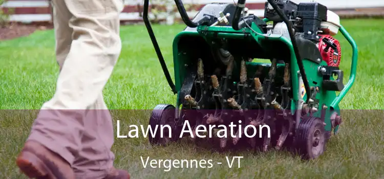 Lawn Aeration Vergennes - VT