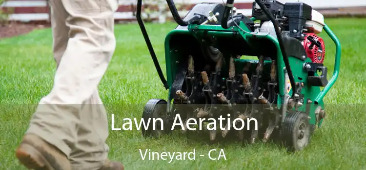 Lawn Aeration Vineyard - CA