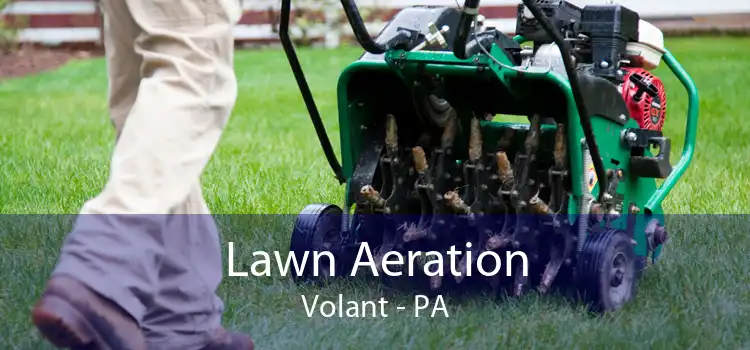 Lawn Aeration Volant - PA