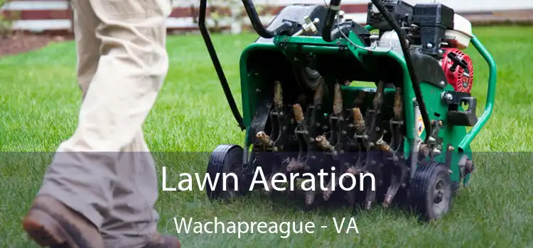 Lawn Aeration Wachapreague - VA