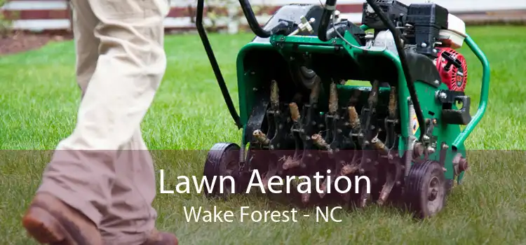 Lawn Aeration Wake Forest - NC