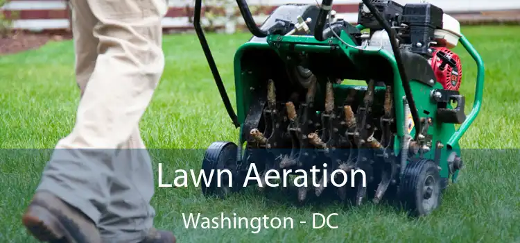 Lawn Aeration Washington - DC
