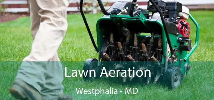 Lawn Aeration Westphalia - MD