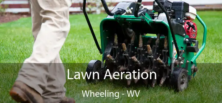 Lawn Aeration Wheeling - WV