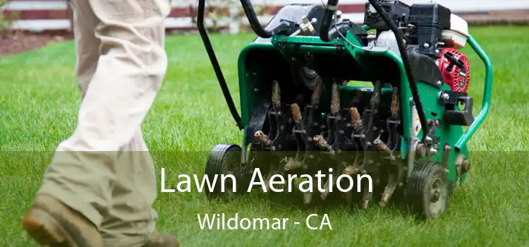 Lawn Aeration Wildomar - CA