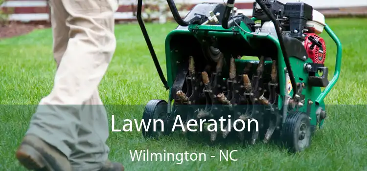 Lawn Aeration Wilmington - NC