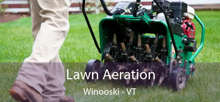Lawn Aeration Winooski - VT