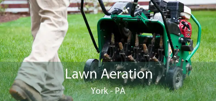 Lawn Aeration York - PA