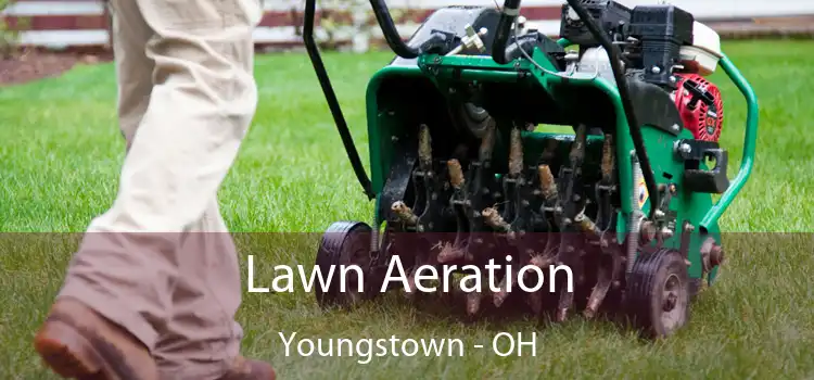 Lawn Aeration Youngstown - OH