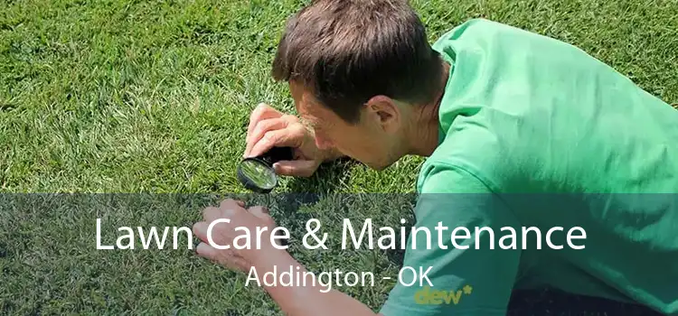 Lawn Care & Maintenance Addington - OK