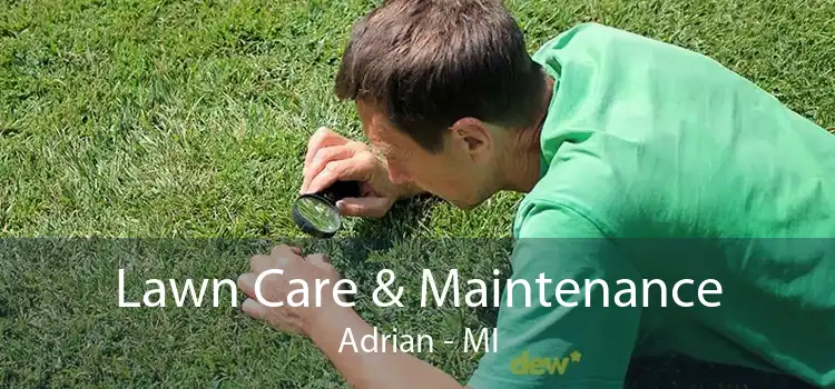Lawn Care & Maintenance Adrian - MI